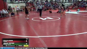 120 lbs Semifinal - Abigail Meyrer, Pleasant Valley vs Callia Logan, Clinton