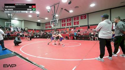 106 lbs Consi Of 16 #2 - Cam Shaull, Bristow vs Eli White, Bookert T Washington