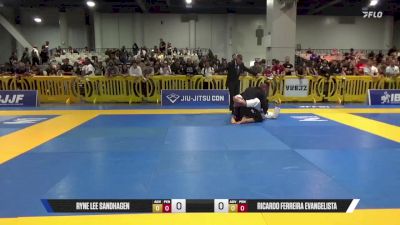 Ryne Lee Sandhagen vs Ricardo Ferreira Evangelista 2025 American National IBJJF Jiu-Jitsu Open Championship