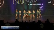 Star Steppers Dance [2025 Junior - Premier - Contemporary/Lyrical - Small Day 2] 2025 Encore Grand Nationals