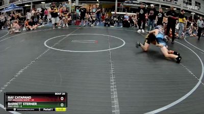 84 lbs Round 7 (8 Team) - Barrett Sterner, Ohio Gold vs Ray Catapano, Mat Assassins White