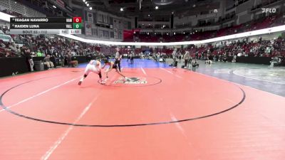 113 lbs Quarterfinal - Teagan Navarro, Nampa vs Raiden Luna, Vallivue