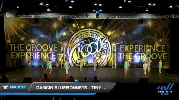 Dancin Bluebonnets - Tiny Lyrical [2019 Tiny - Contemporary/Lyrical Day 2] 2019 Encore Championships Houston D1 D2