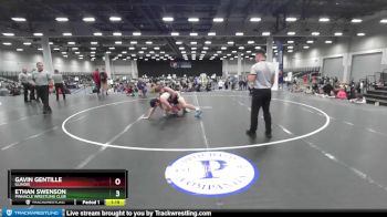 215 lbs Champ. Round 2 - Gavin Gentille, Illinois vs Ethan Swenson, Pinnacle Wrestling Club