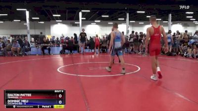 136 lbs Round 3 (8 Team) - Dalton Pattee, Tennessee vs Dominic Meli, Colorado Red