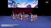 Cheer Force - Senior Soaring [2026 L4.2 Senior Coed - D2 - Small Finals] 2026 The D2 Summit