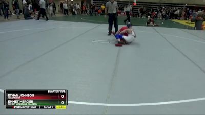 110 lbs Quarterfinal - Ethan Johnson, Alexandria vs Emmet Mercier, Summit Wrestling Academy