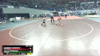 6A-132 lbs Champ. Round 2 - Nolan Opferman, Lakeridge vs Cameron Anderson, McMinnville