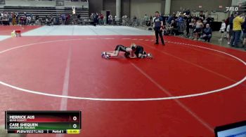 75 lbs Cons. Round 3 - Case Shequen, Mahnomen-Waubun vs Merrick Aus, Quad County