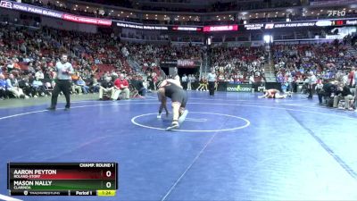 2A-285 lbs Champ. Round 1 - Mason Nally, Clarinda vs Aaron Peyton, Roland-Story