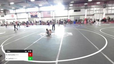 73 lbs Quarterfinal - Aj Gonzalez, Savage House WC vs Austin Latinis, Gold Rush Wr Acd