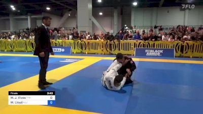 Mark J. Vives vs Mitchell Lloyd 2023 American National IBJJF Jiu-Jitsu Championship