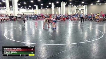 190 lbs Round 5 (8 Team) - Taevyn Zinnel, Iowa Gold vs Caden Schadwinkel, Nebraska Heroes (B Team)