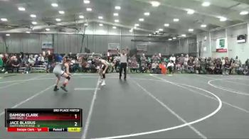 126 lbs Placement Matches (8 Team) - Damion Clark, Iowa Gold vs Jace Blasius, South Dakota Rage