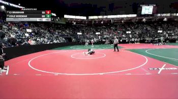 114 lbs Cons. Round 2 - Cj Branham, BEASTA vs Cole Wireman, DAB1