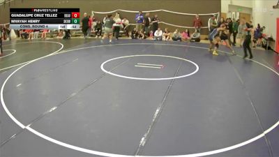 170 lbs Cons. Round 4 - Guadalupe Cruz Tellez, Beaverton vs Nivayah Henry, Skyview