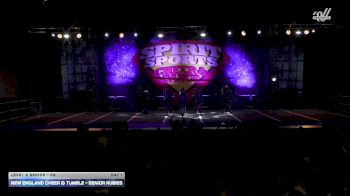 New England Cheer & Tumble - Senior Rubies [2025 L2 Senior - D2 Day 1] 2025 Spirit Sports Worcester Nationals