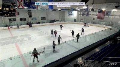 Replay: Home - 2024 NJ Aces vs Hockey Farm Var. | Apr 17 @ 6 PM