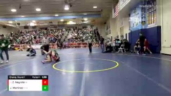 106 lbs Champ. Round 1 - Zoey Negrete, Riverside Poly vs Jessica Martinez, Downey