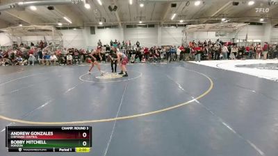 138 lbs Champ. Round 3 - Andrew Gonzales, Cheyenne Central vs Bobby Mitchell, Horizon