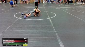 52 lbs 3rd Place Match - Dominic Taylor, Shamrock Wrestling Club vs Conner Walker, Rising Kingz