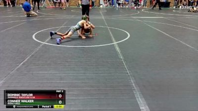 52 lbs 3rd Place Match - Dominic Taylor, Shamrock Wrestling Club vs Conner Walker, Rising Kingz