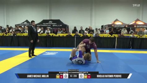 Nikolas Ratomir Perovic vs James Michael Mullin 2026 Pan IBJJF Jiu-Jitsu No-Gi Championship