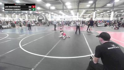 43 lbs Consi Of 8 #2 - Levi Whittenburg, Ceres Pups WC vs Montana Coberly, Salem Elite Mat Club