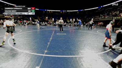 74 lbs Semifinal - Cameron Catenacci, Montgomery vs Colton Writt, Greensburg Salem