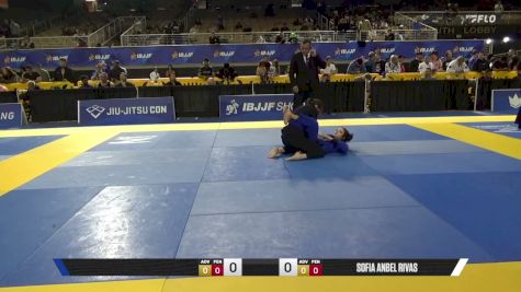 NIKKI S WILCOX vs SOFIA ANABEL RIVAS 2026 Pan Jiu Jitsu IBJJF Championship