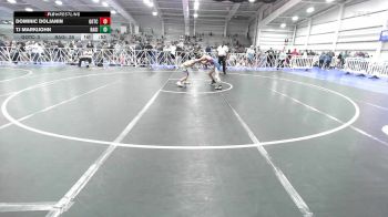 85 lbs Rr Rnd 1 - Dominic Doljanin, Gotcha-219 vs TJ Markijohn, Ragin Raisins Catawba ES