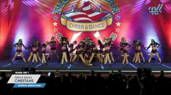Fierce Idaho - Cheetahs [2024 L4 Senior Coed Day 1] 2024 The American Northwest Portland Nationals