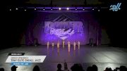 Dance Dynamics - Tiny Elite Small Jazz [2025 Tiny - Jazz Day 2] 2025 Power Dance Grand Nationals