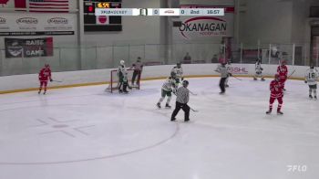 Replay: Home - 2025 Delta HA vs Okanagan HA | Feb 8 @ 2 PM