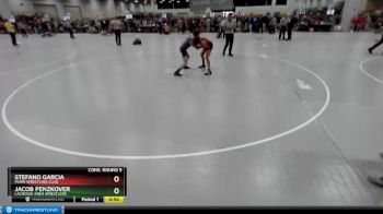 102 lbs Cons. Round 5 - Stefano Garcia, Miami Wrestling Club vs Jacob Penzkover, LaCrosse Area Wrestlers