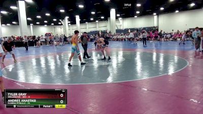 132 lbs Round 3 (16 Team) - Andres Anastasi, Florida Pitbulls vs Tyler Gray, Wellington - DEV