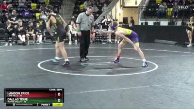 138 lbs Consolation Wb - Dallas Tisue, Wapsie Valley vs Landon Price, Lake Mills