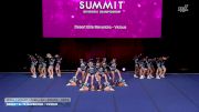 Desert Elite Mavericks - Vicious [2026 L1 Junior - Flex - D2 - Medium Semis] 2026 The D2 Summit