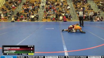 95 lbs Round 4 - Logan Grant, LAW vs Micaiah Black, Victory School Of Wrestling