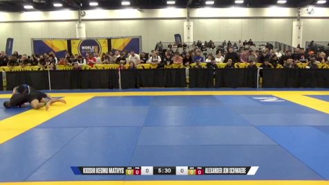 Kioshi Keonu Mathys vs Alexander Jon Schwaebe 2024 World IBJJF Jiu-Jitsu No-Gi Championship