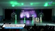 Star Performance Centre - Junior Small Lyrical Purple [2025 Junior - Contemporary/Lyrical - Small Day 2] 2025 Athletic Championships Nationals & Dance Grand Nationals
