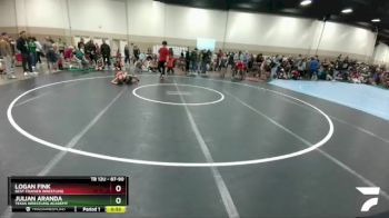 87-90 lbs Round 1 - Julian Aranda, Texas Wrestling Academy vs Logan Fink, Best Trained Wrestling