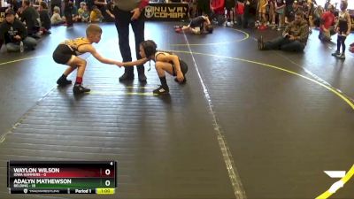 55 lbs Round 1 (4 Team) - Waylon Wilson, Iowa Hammers vs Adalyn Mathewson, Belding