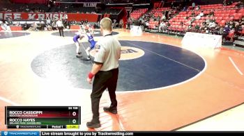 3A 106 lbs Quarterfinal - Rocco Hayes, Orland Park (Sandburg) vs Rocco Cassioppi, Rockton (Hononegah)