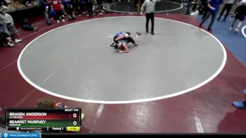 106 lbs Champ. Round 1 - Bragen Anderson, La Grande vs Bearret Murphey, Freeman