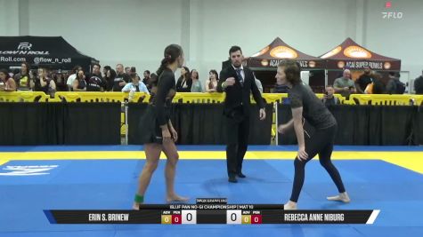 Rebecca Anne Niburg vs Erin S. Brinew 2026 Pan IBJJF Jiu-Jitsu No-Gi Championship