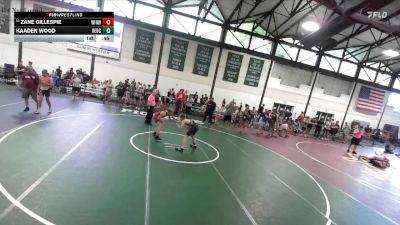 119-123 lbs 5th Place Match - Zane Gillespie, Premier Wrestling Center vs Kaaden Wood, Reed Custer