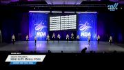 Dance Dynamics - Mini Elite Small Pom [2025 Mini - Pom - Small Day 1] 2025 NDA All-Star National Championship