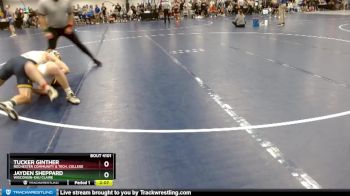 Elite 141 lbs Cons. Round 2 - Jayden Sheppard, Wisconsin-Eau Claire vs Tucker Ginther, Rochester Community & Tech. College