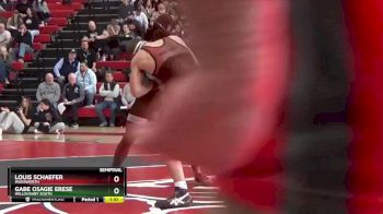 175 lbs Semifinal - Louis Schaefer, Wadsworth vs Gabe Osagie Erese, Willoughby South